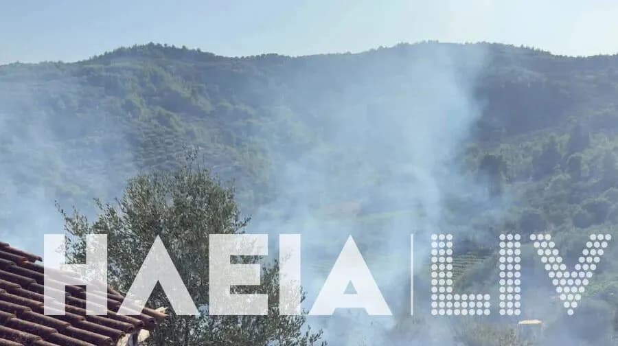 Η Ηλεία στις φλόγες: Πύρινος εφιάλτης στο Χειμαδιό