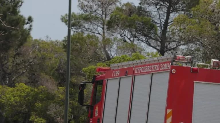 Πυρκαγιά στους Πάλους της Νισύρου: Επιχείρηση κατάσβεσης