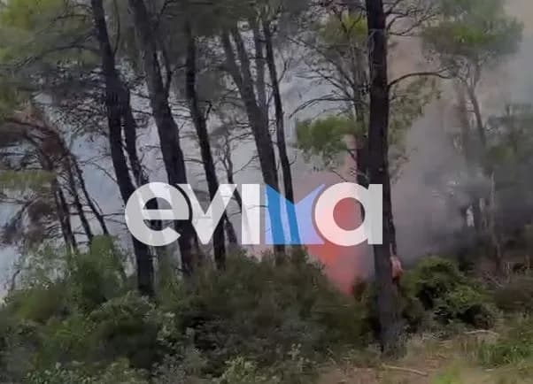 Η φωτιά στην Εύβοια: Κεραυνός χτύπησε στον Άγιο Αθανάσιο