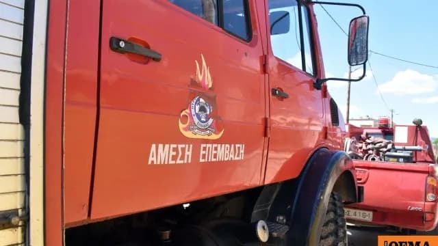 Φωτιά στην Κρανιά Ελασσόνας με 35 πυροσβέστες