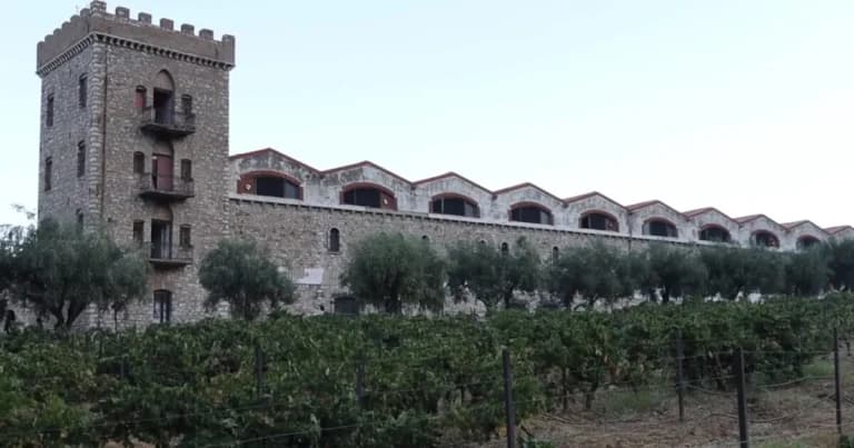 Ο Ανοιχτός Τρύγος 2026 ζωντάνεψε την Achaia Clauss