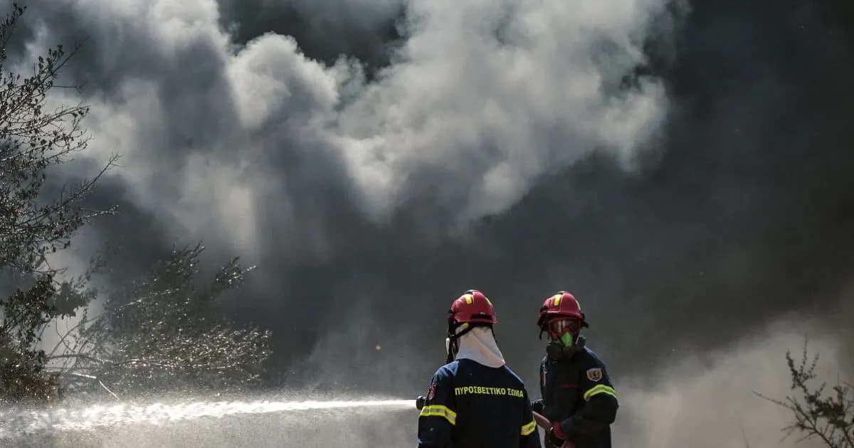 Ο οδηγός βρέθηκε νεκρός σε φωτιά στον Νέο Κουβαρά Αττικής