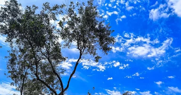 Ηλιοφάνεια και ζέστη Ο καιρός σήμερα Τετάρτη 7/10