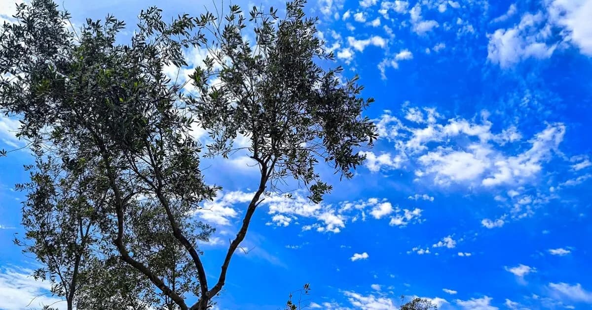 Ηλιοφάνεια και ζέστη Ο καιρός σήμερα Τετάρτη 7/10