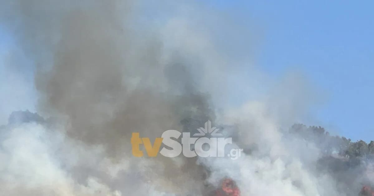 Φωτιά στη Λαμία: Κινητοποίηση 40 πυροσβεστών