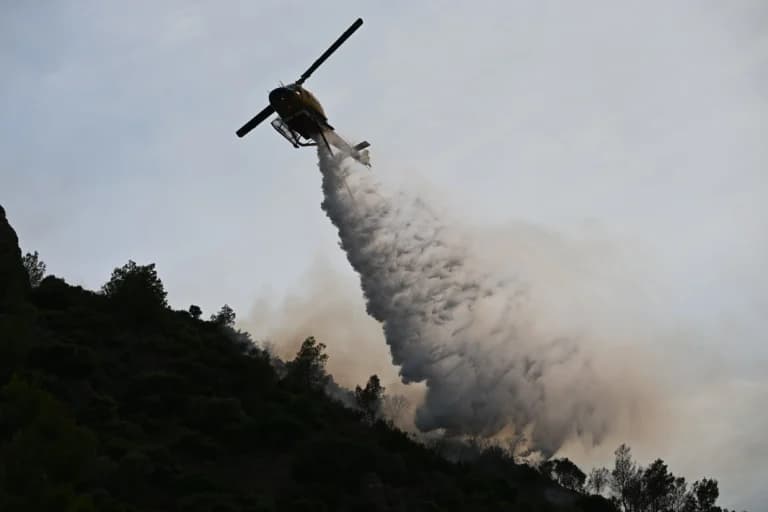 Φωτιά σε δασική έκταση στο Γιαννοχώρι Νεστορίου