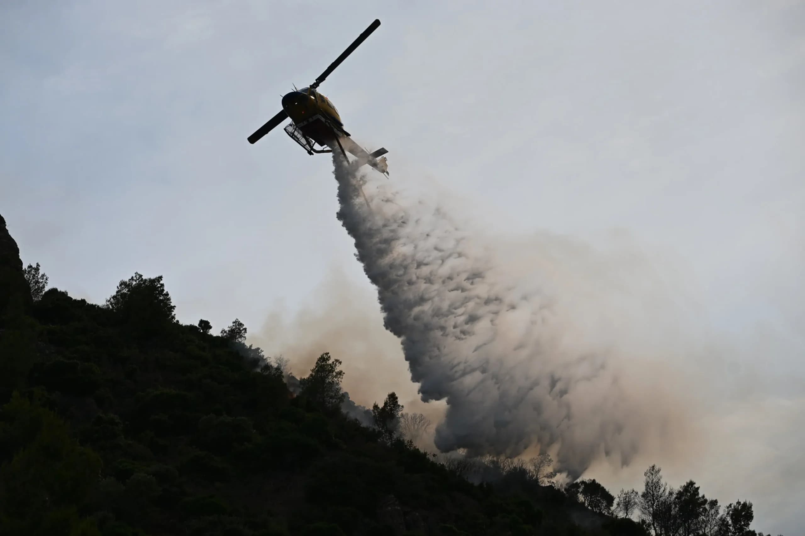 Φωτιά σε δασική έκταση στο Γιαννοχώρι Νεστορίου