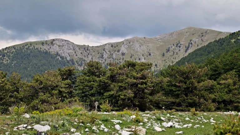 Βώλακας: Το χωριό-μυστικό στις πλαγιές του Φαλακρού