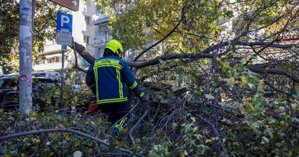 Τραγωδία στη Μυτιλήνη: Νεκρός 45χρονος που πήγε για κυνήγι