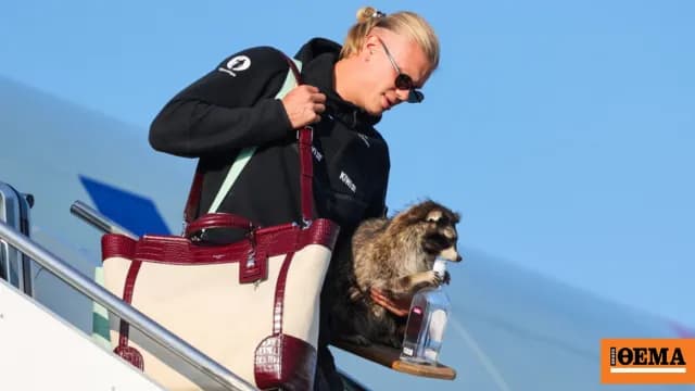 Ο Χάαλαντ μηνύει τη Norwegian Air για την κοτσίδα του