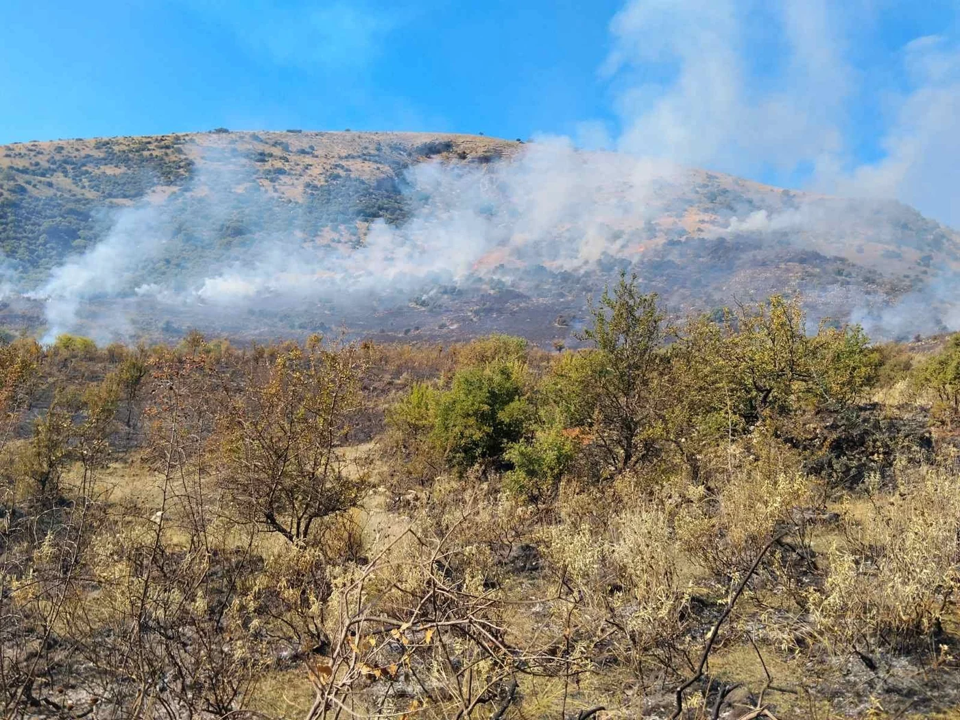 Μέτωπο φωτιάς στη Φανερωμένη Θεσπρωτίας με επτά εστίες