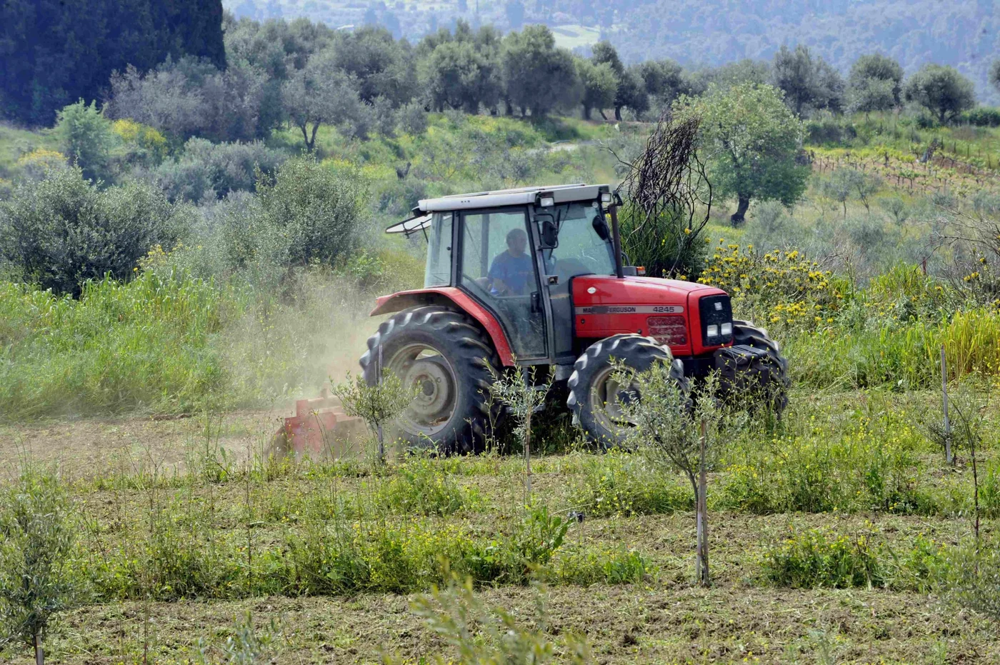 myDiesel: Απαλλαγή ΕΦΚ και ΦΠΑ στην αντλία για τους αγρότες