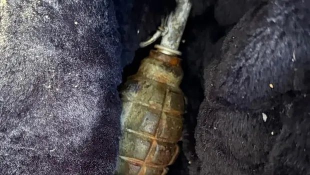 αστυνομική επιχείρηση Κυψέλη χειροβομβίδα σύλληψη