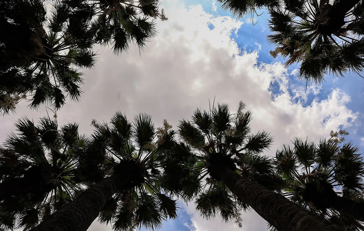 Δίκη Τεμπών αίθουσα Πανεπιστήμιο Θεσσαλίας Λάρισα