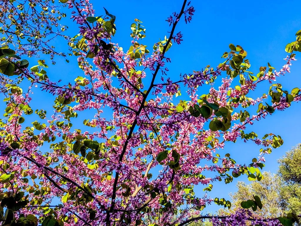 Δίκη Τεμπών αίθουσα Πανεπιστήμιο Θεσσαλίας Λάρισα