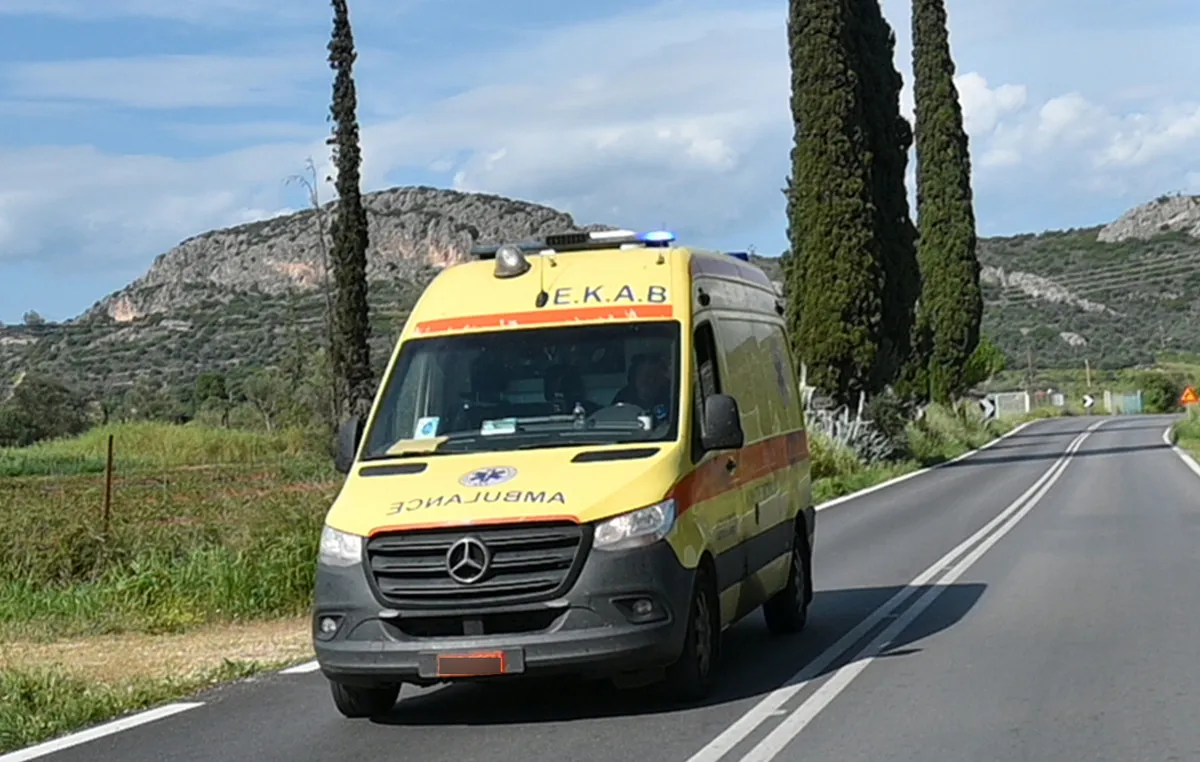 τροχαίο δυστύχημα γουρούνα βόρεια Κέρκυρα Αλμυρός