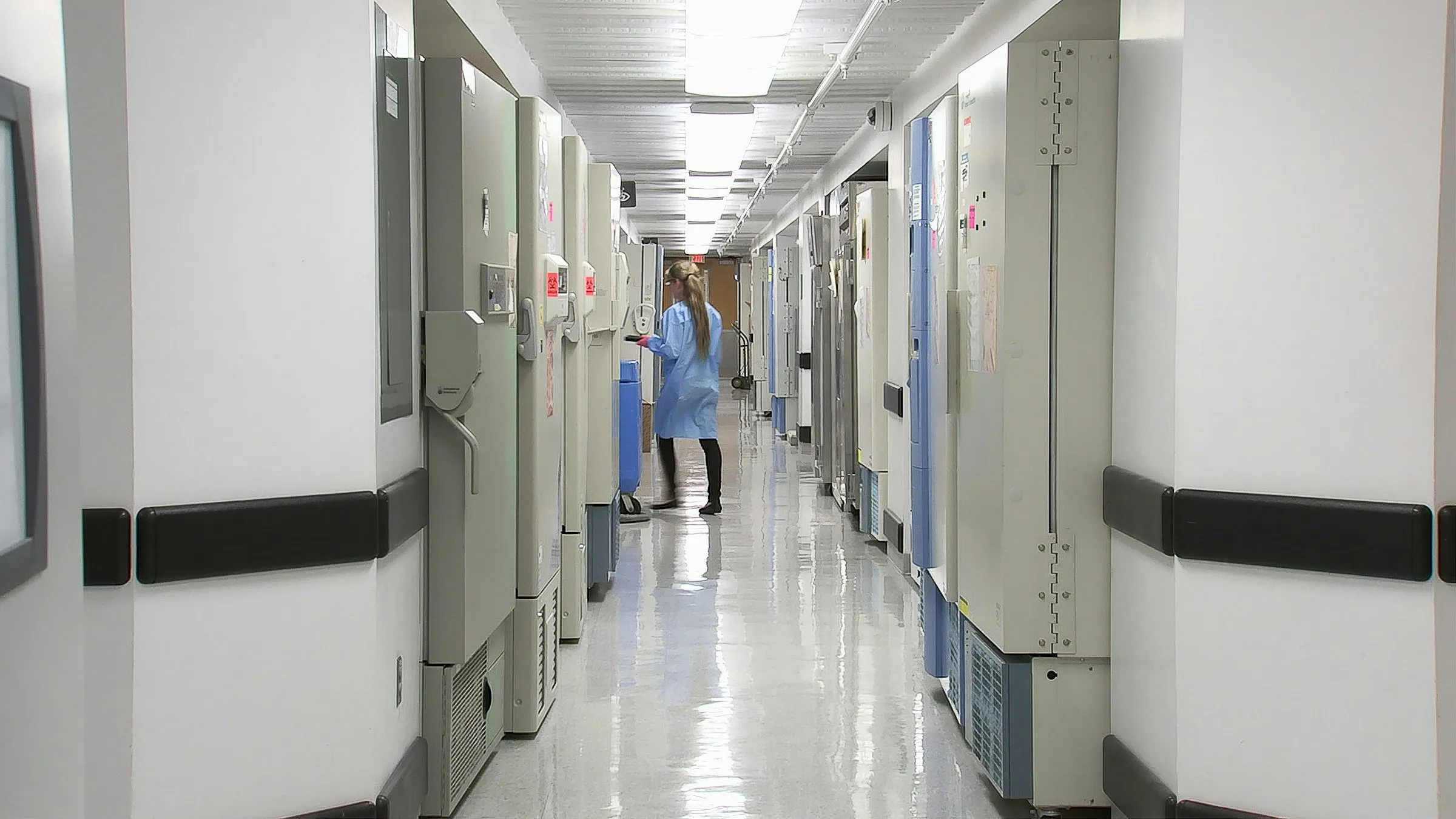 Σκιάθος νυχτερινή έξοδος ατύχημα τουρίστρια