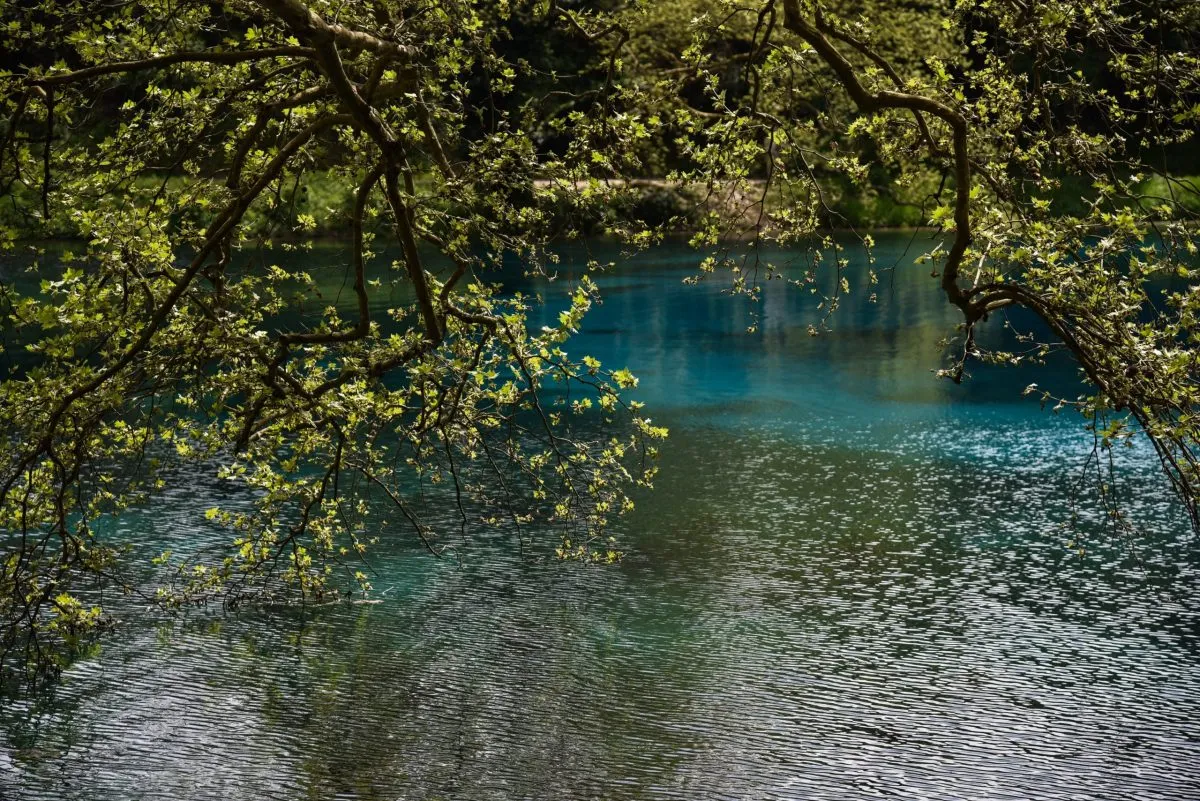 λίμνη Παμβώτιδα Ιωάννινα περιοχή Natura 2000