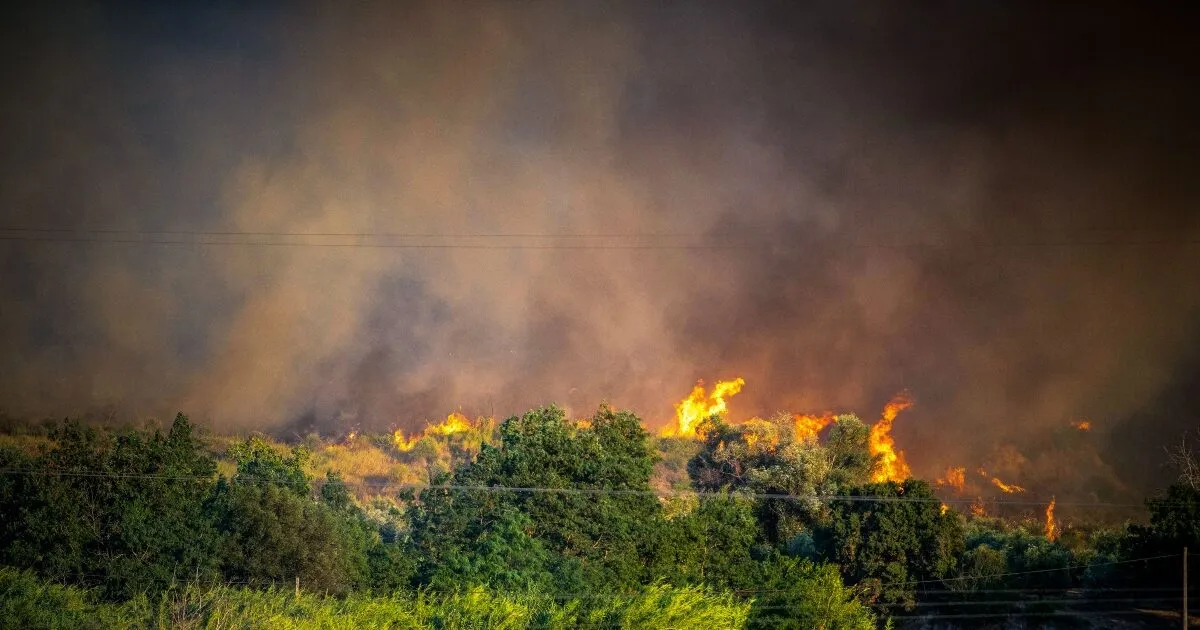 Πυρκαγιά δασική έκταση Σέρρες Άγιος Ιωάννης πυροσβεστική