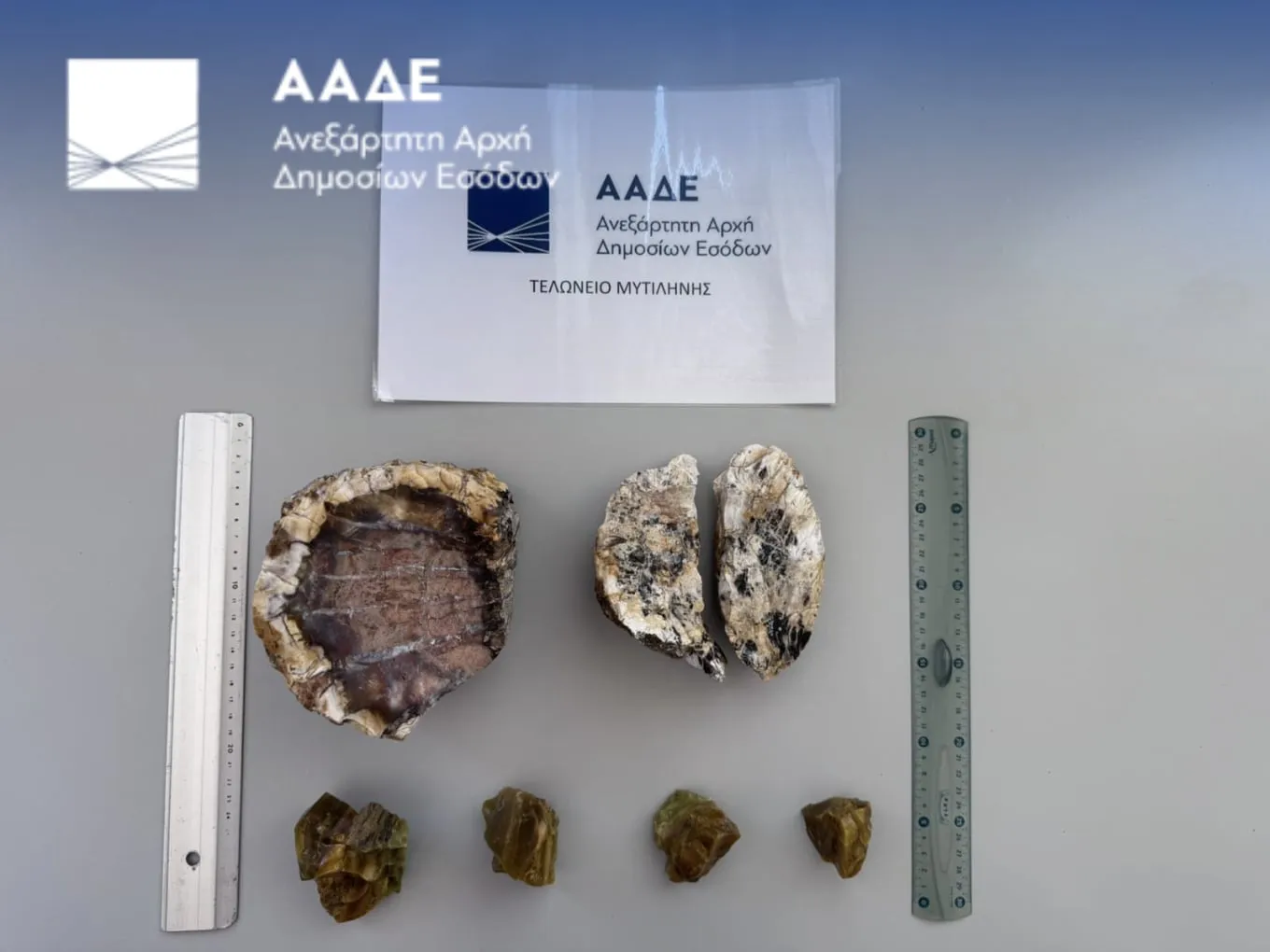 Απολιθωμένο Δάσος Λέσβου προστατευόμενη περιοχή