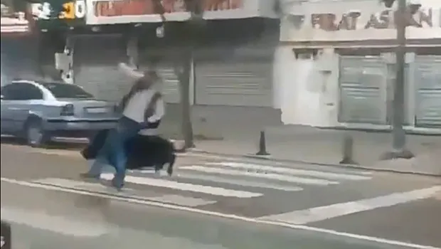 αγριογούρουνο επίθεση σε πεζούς στην Τουρκία