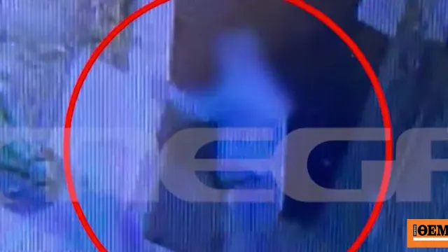 Σύλληψη πρώην αντιδημάρχου Ηρακλείου για κακοποίηση ζώου