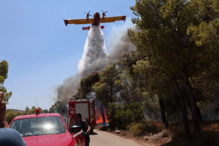 Πυρκαγιά δασική έκταση Σέρρες Άγιος Ιωάννης πυροσβεστική