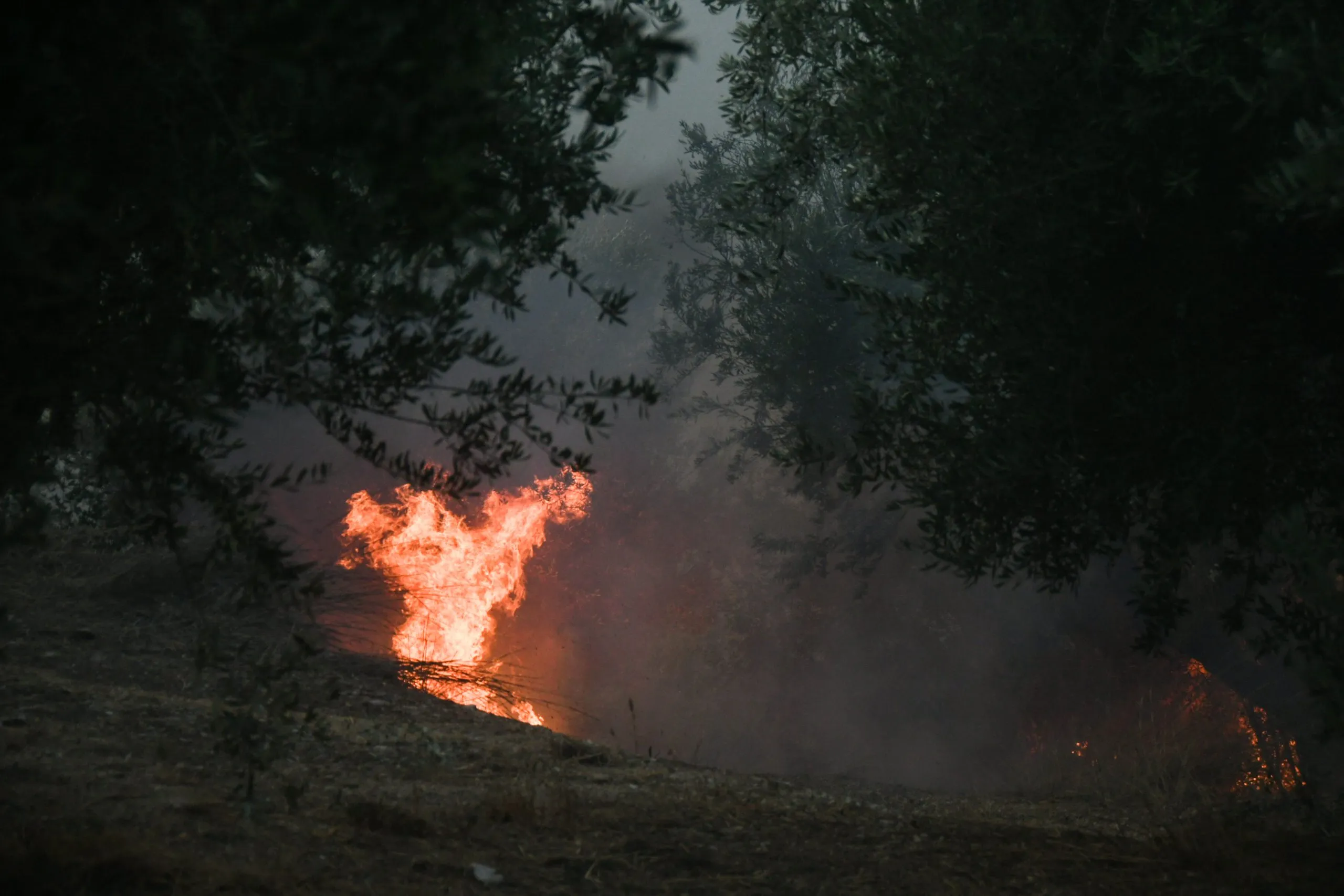 Πυρκαγιά σε υπαίθριο χώρο στα Άνω Λιόσια Αττικής