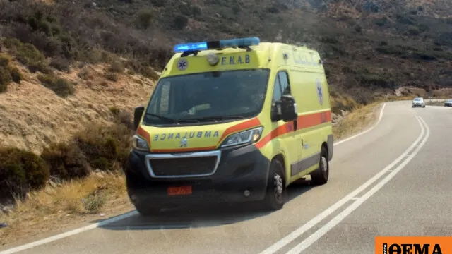 Ποιμνιοστάσιο στη Γαστούνη όπου βρέθηκε νεκρός 57χρονος κτηνοτρόφος
