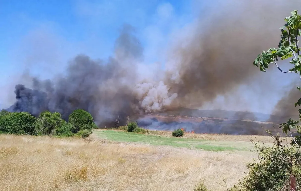 πυρκαγιά αγροτοδασική έκταση Βρία Κατερίνης Πιερία