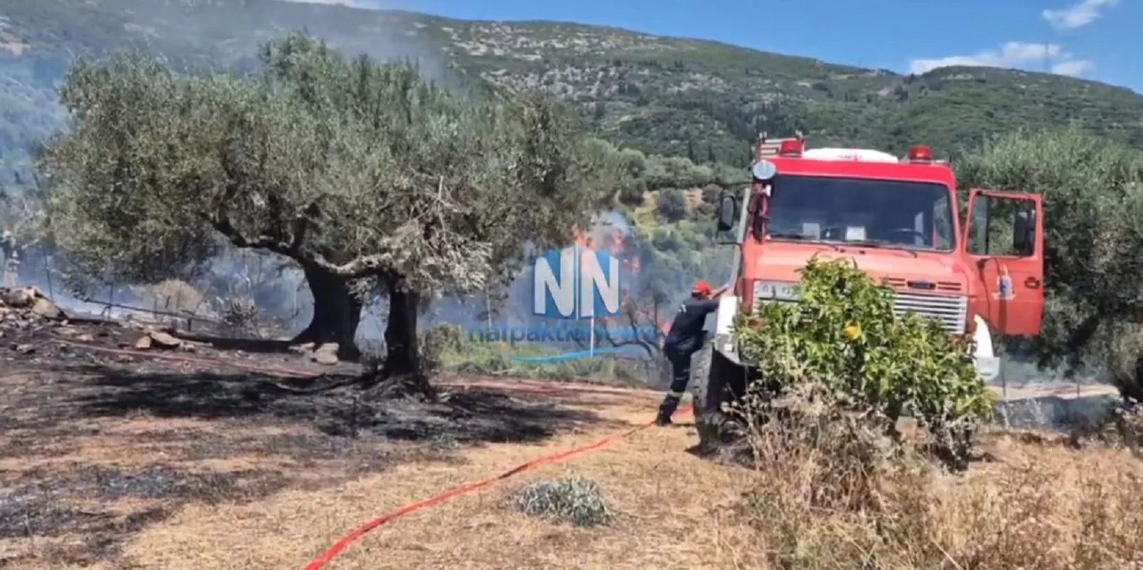 πυροσβέστες επιχειρούν σε πυρκαγιά δασική έκταση Μαμουλάδα Ναυπακτία