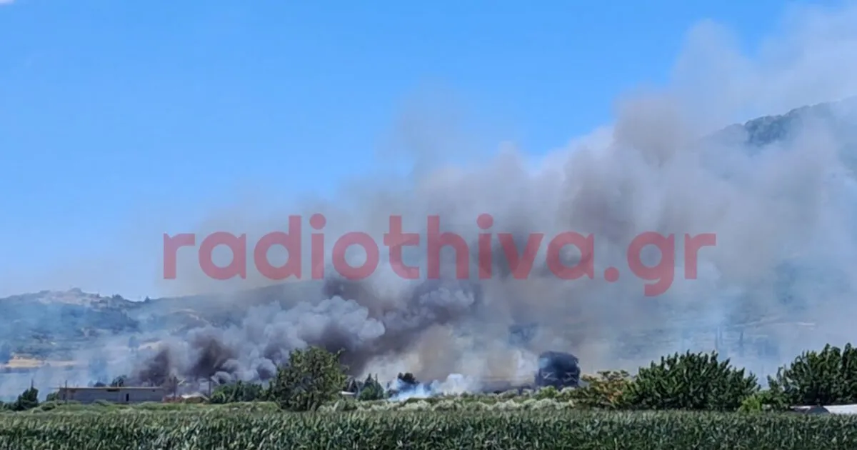Πυρκαγιά στην Πέτρα Βοιωτίας Σάββατο 27 Ιουνίου 2026