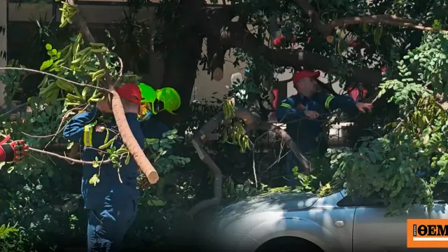 Πτώση δέντρου από θυελλώδεις ανέμους στην Αθήνα
