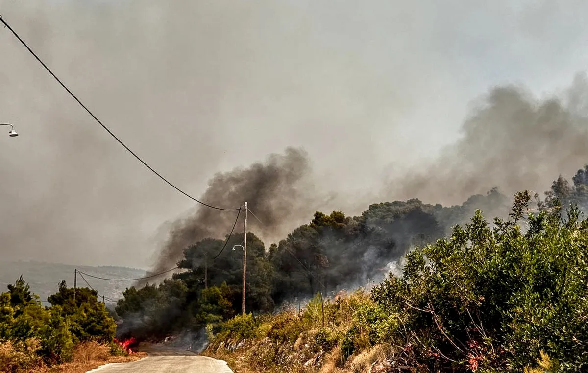 Πυρκαγιά σε δασική έκταση στη Βοιωτία Ελλάδα