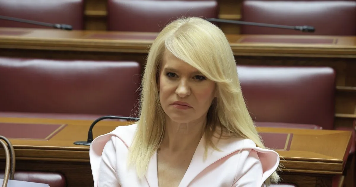 Θεοδώρα Τζάκρη παραίτηση Δημοκράτες Κασσελάκης