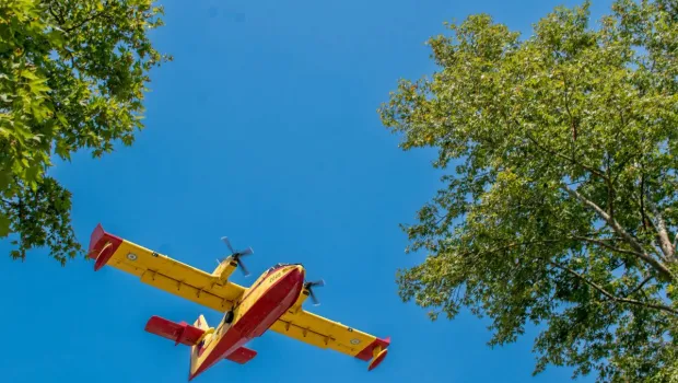 πυρκαγιά αγροτοδασική έκταση Ορχομενός Βοιωτία πυροσβέστες αεροσκάφη