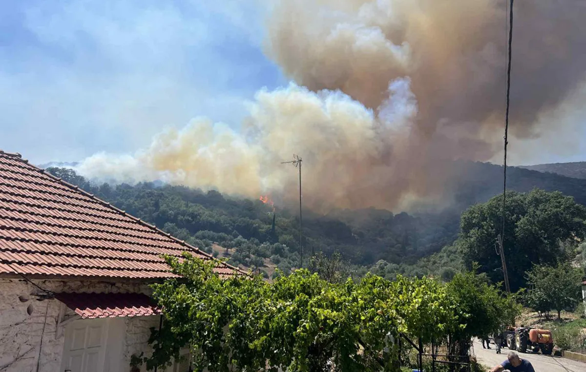 Πυροσβεστικά αεροσκάφη επιχειρούν σε φωτιά στη Βοιωτία