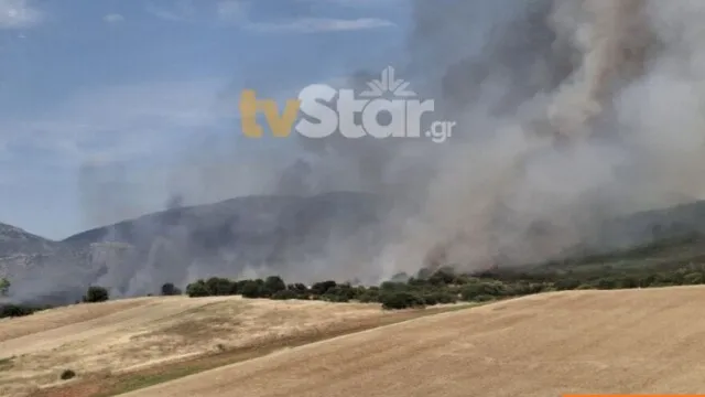 πυρκαγιά αγροτοδασική έκταση Ορχομενός Βοιωτία πυροσβέστες αεροσκάφη