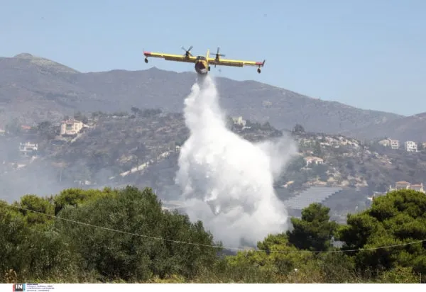 Πυρκαγιά σε αγροτοδασική έκταση στη Φθιώτιδα