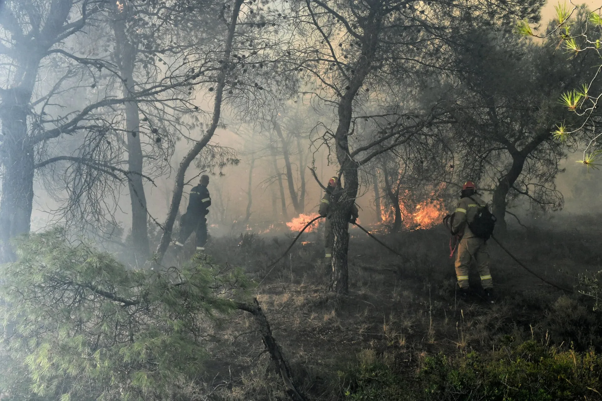 πυρκαγιά δασική έκταση Σκαλωσιά Λουτράκι Κορινθία