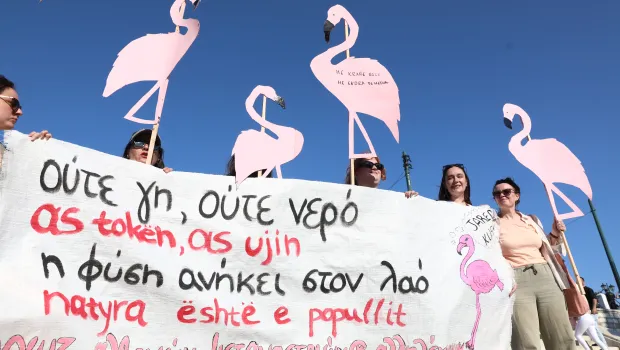Διαδηλωτές με ροζ φλαμίνγκο κατά θερέτρου Κούσνερ στη Βιόσα Νάρτα Αλβανία