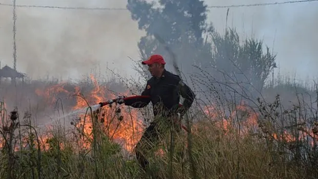 πυροσβεστικές δυνάμεις Κερατέα εμπρησμός σύλληψη