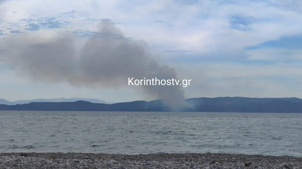 πυρκαγιά δασική έκταση Σκαλωσιά Λουτράκι Κορινθία