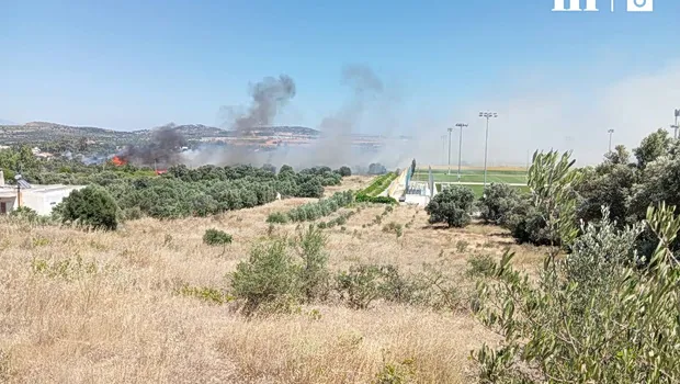 Πυροσβεστικά αεροσκάφη επιχειρούν σε φωτιά στη Βοιωτία