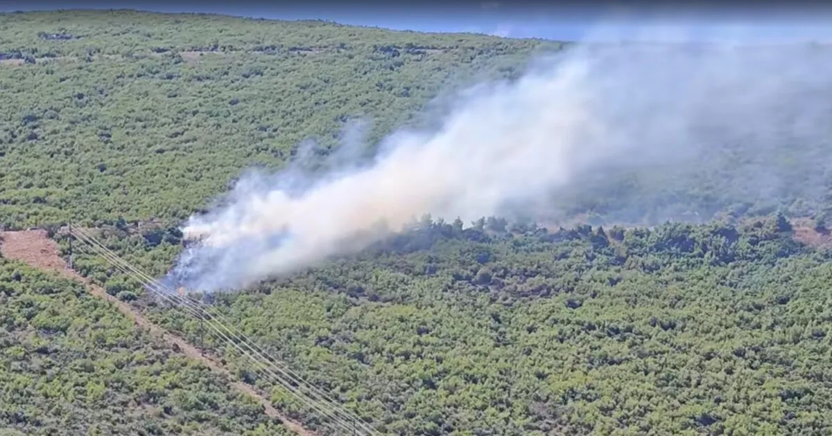 Πυρκαγιά σε δασική έκταση στη Βοιωτία Ελλάδα