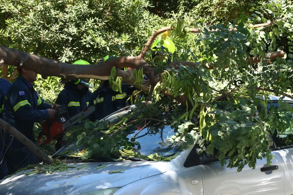Πτώση δέντρου από θυελλώδεις ανέμους στην Αθήνα