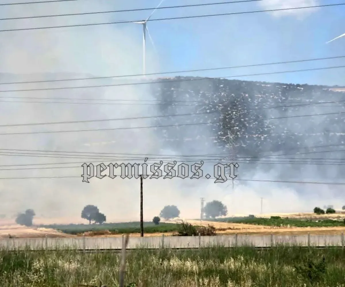 Πυροσβεστικά αεροσκάφη επιχειρούν σε φωτιά στη Βοιωτία