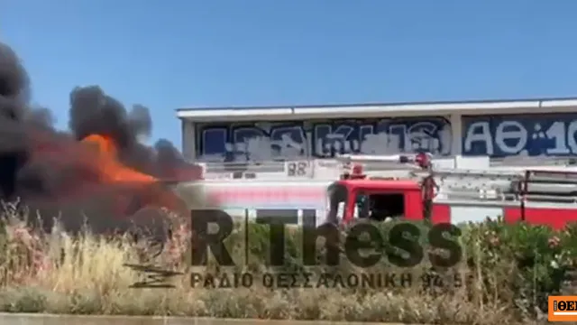 φωτιά ζωολογικός κήπος Jungle Box Buntingford Βρετανία