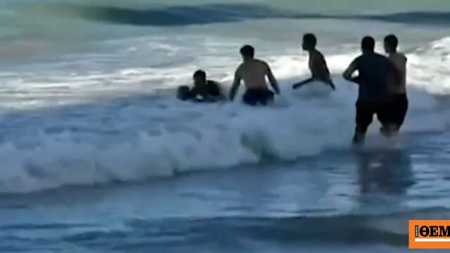 επίθεση καρχαρία τίγρη παραλία Boa Viagem Βραζιλία
