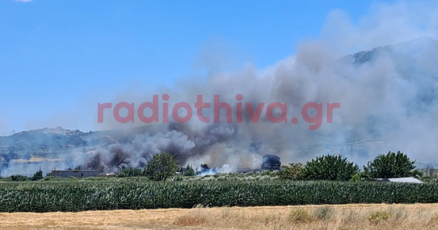 Πυρκαγιά στην Πέτρα Βοιωτίας Σάββατο 27 Ιουνίου 2026